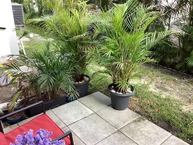 3133 S Ocean Dr 118 photo 24