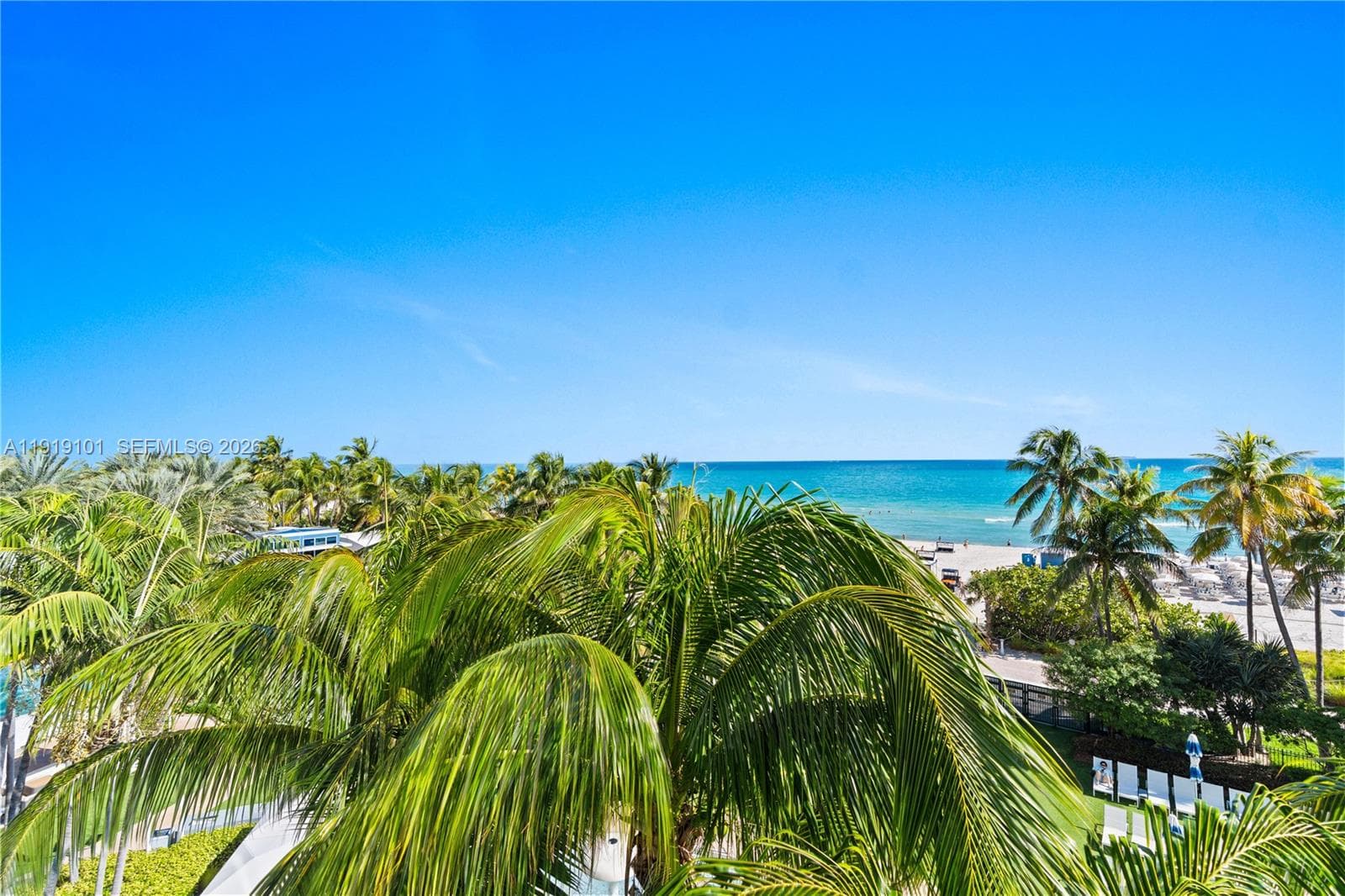 4391 Collins Ave 413 photo 6