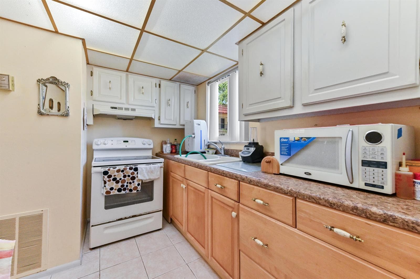 368 Lake Frances Drive photo 6