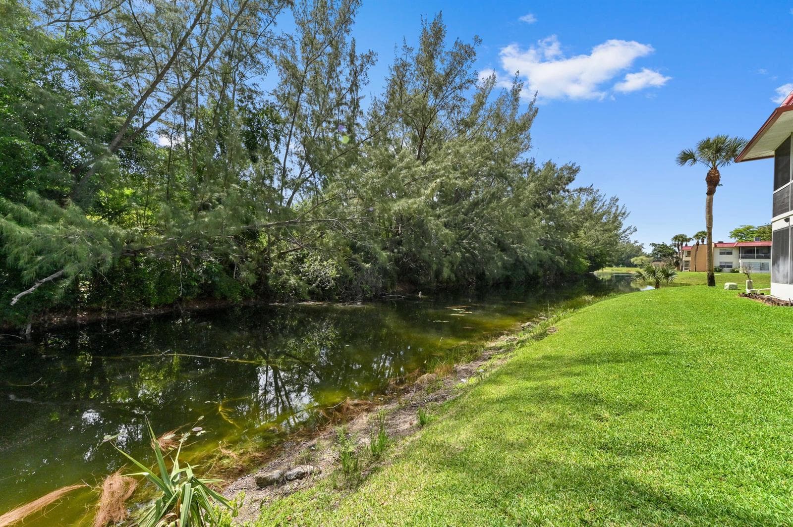 368 Lake Frances Drive photo 20