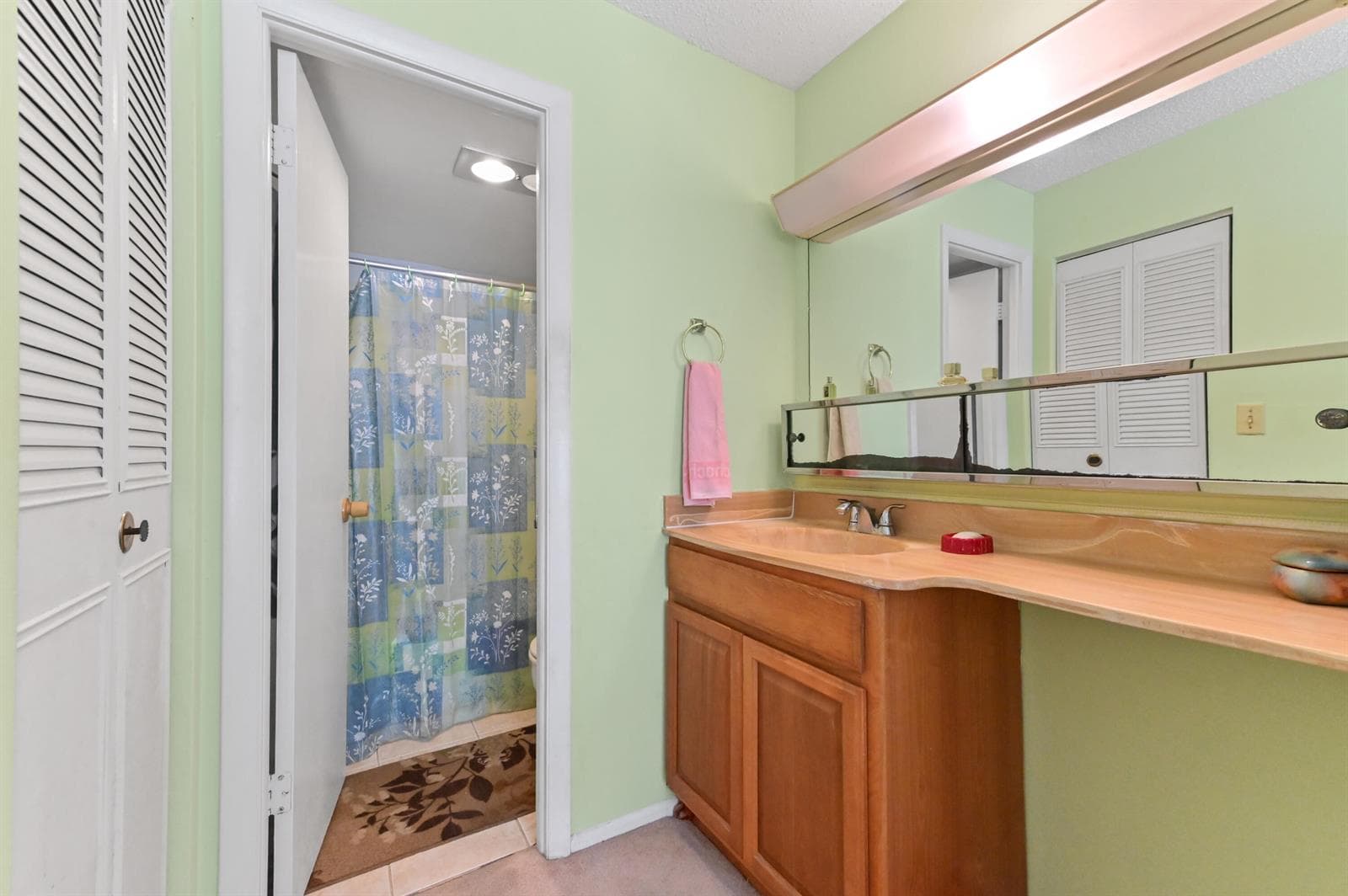 368 Lake Frances Drive photo 15