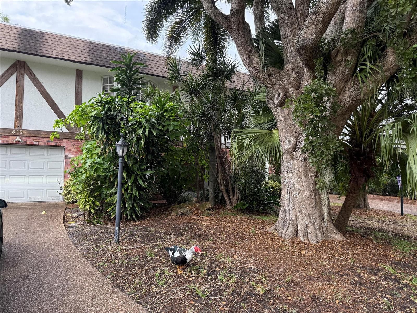 619 Kensington Place photo 17