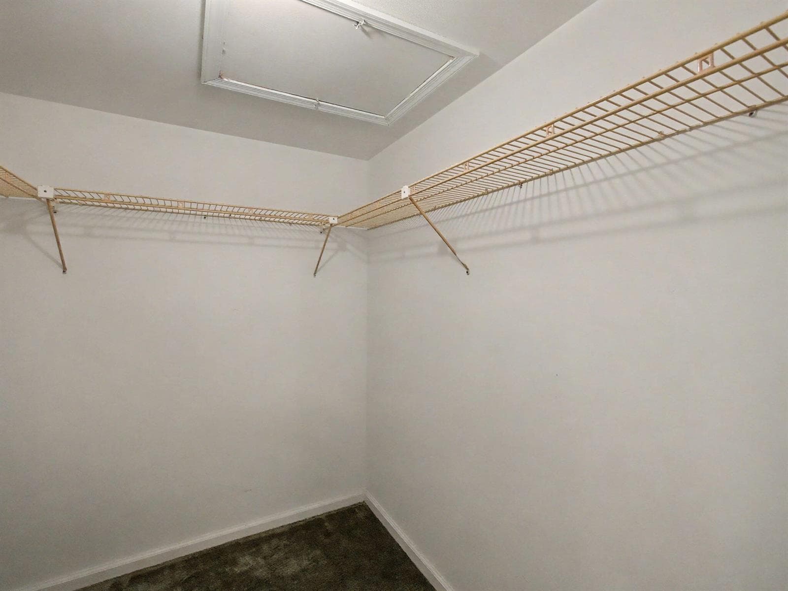 1205 Sandy Lane 246 photo 12