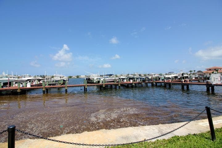 157 Yacht Club Way 201 Corner photo 16