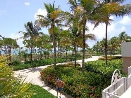 10185 Collins Ave PH02 photo 8