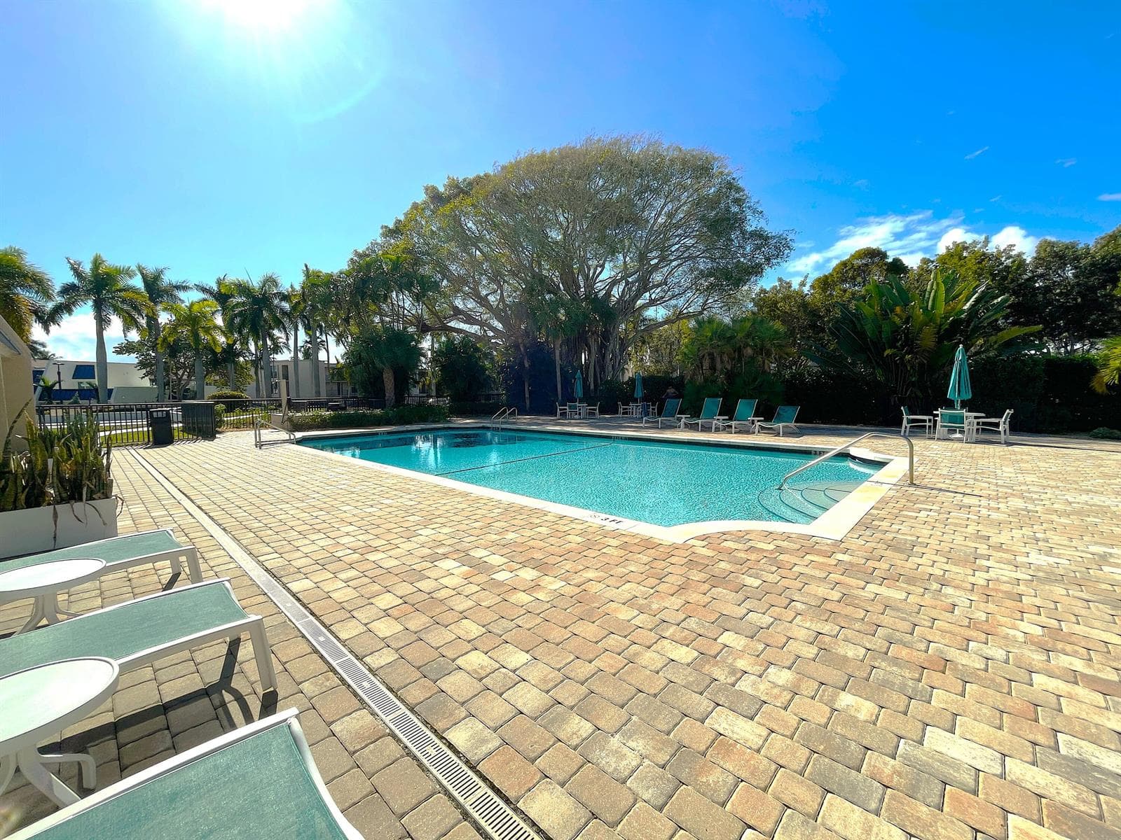 3 Royal Palm Way 2050 photo 22