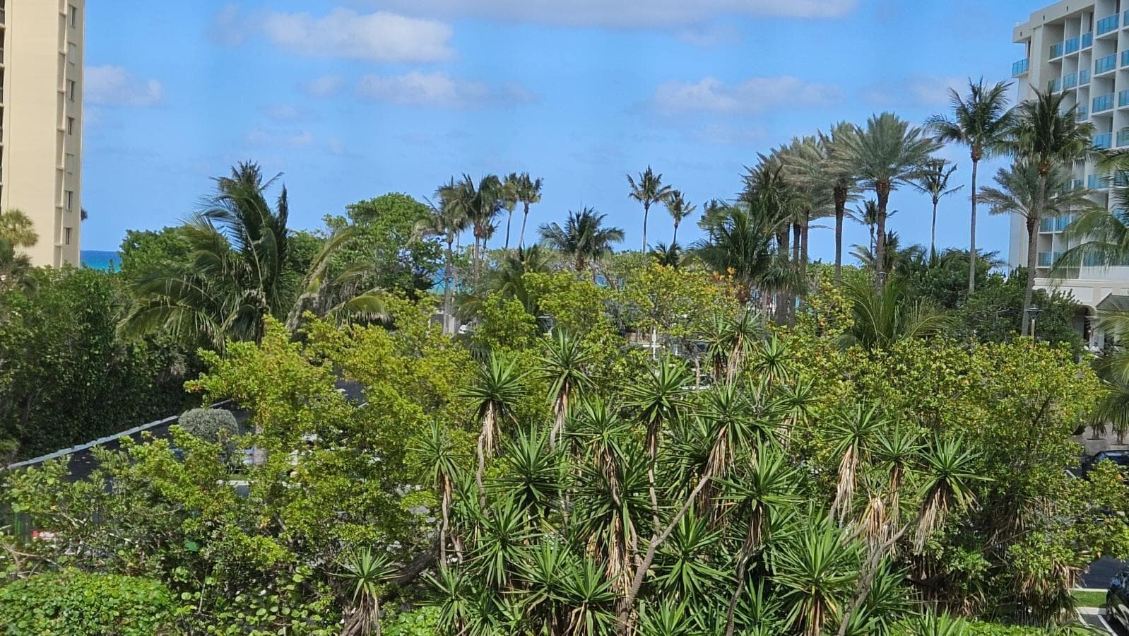 500 Ocean Trail Way 307 photo 18