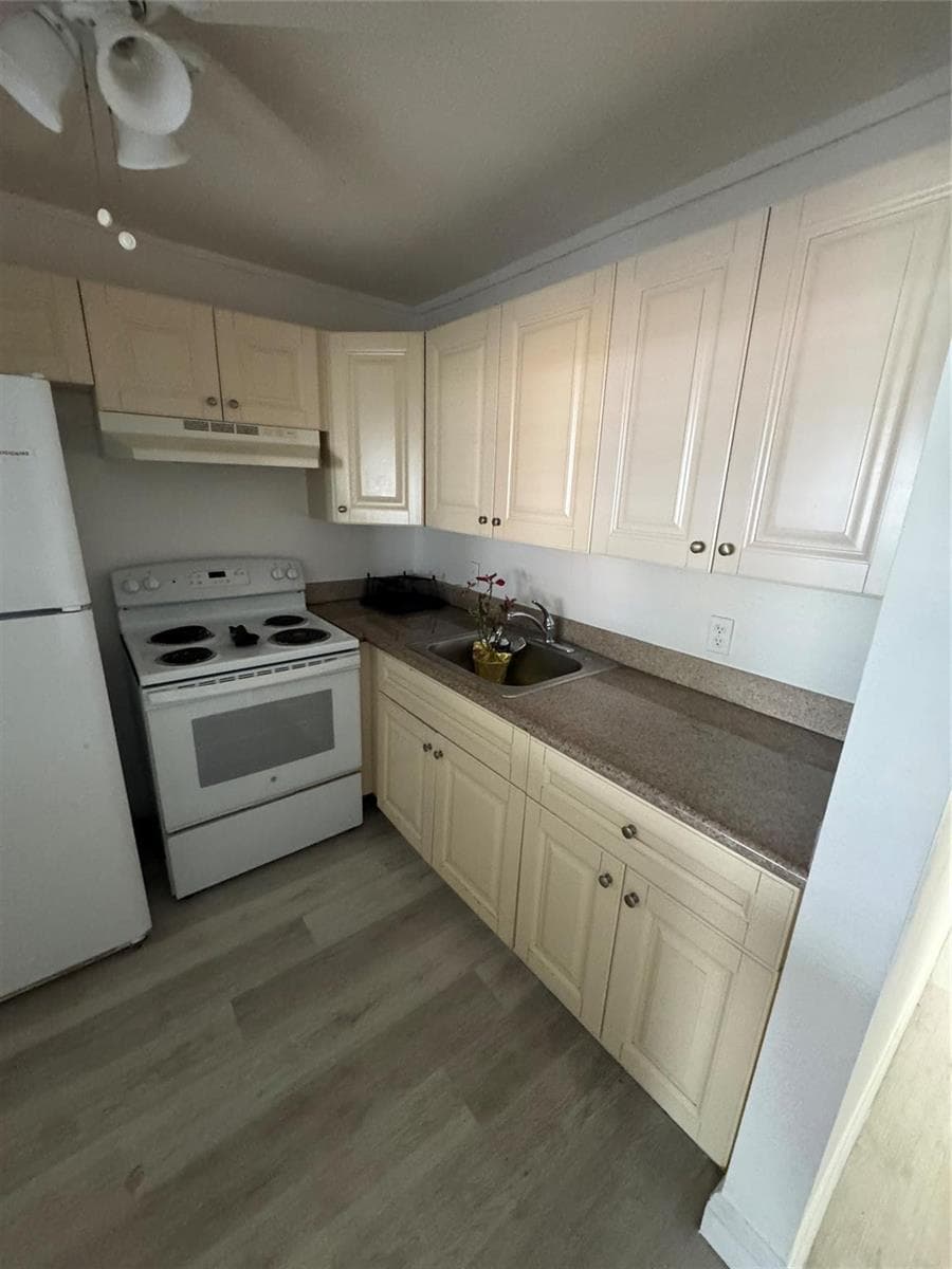 295 Newport T 295 photo 9