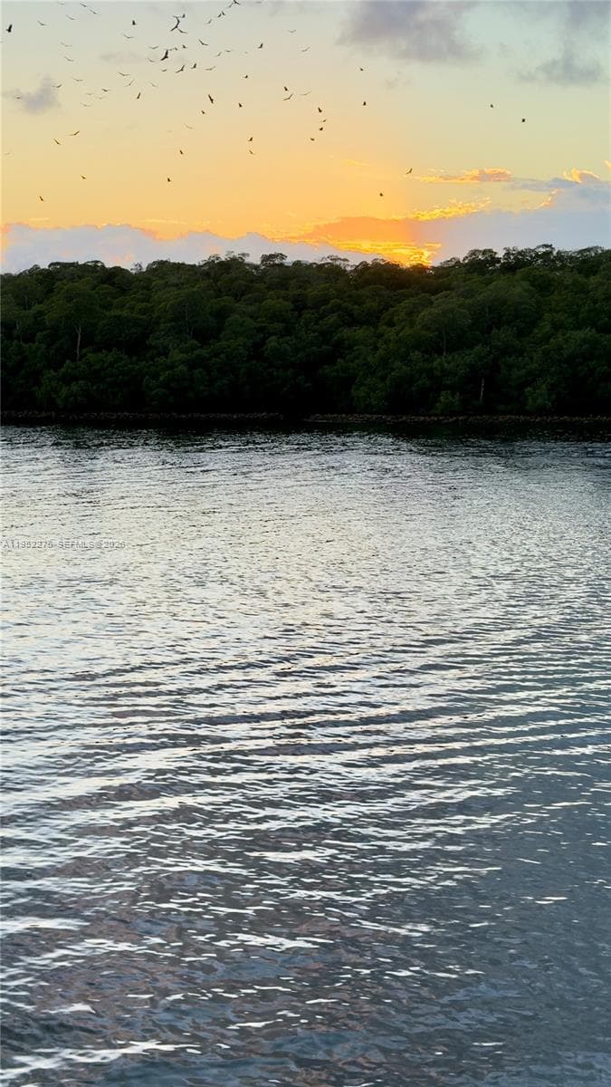 456 Poinciana Island dr 1620 photo 23