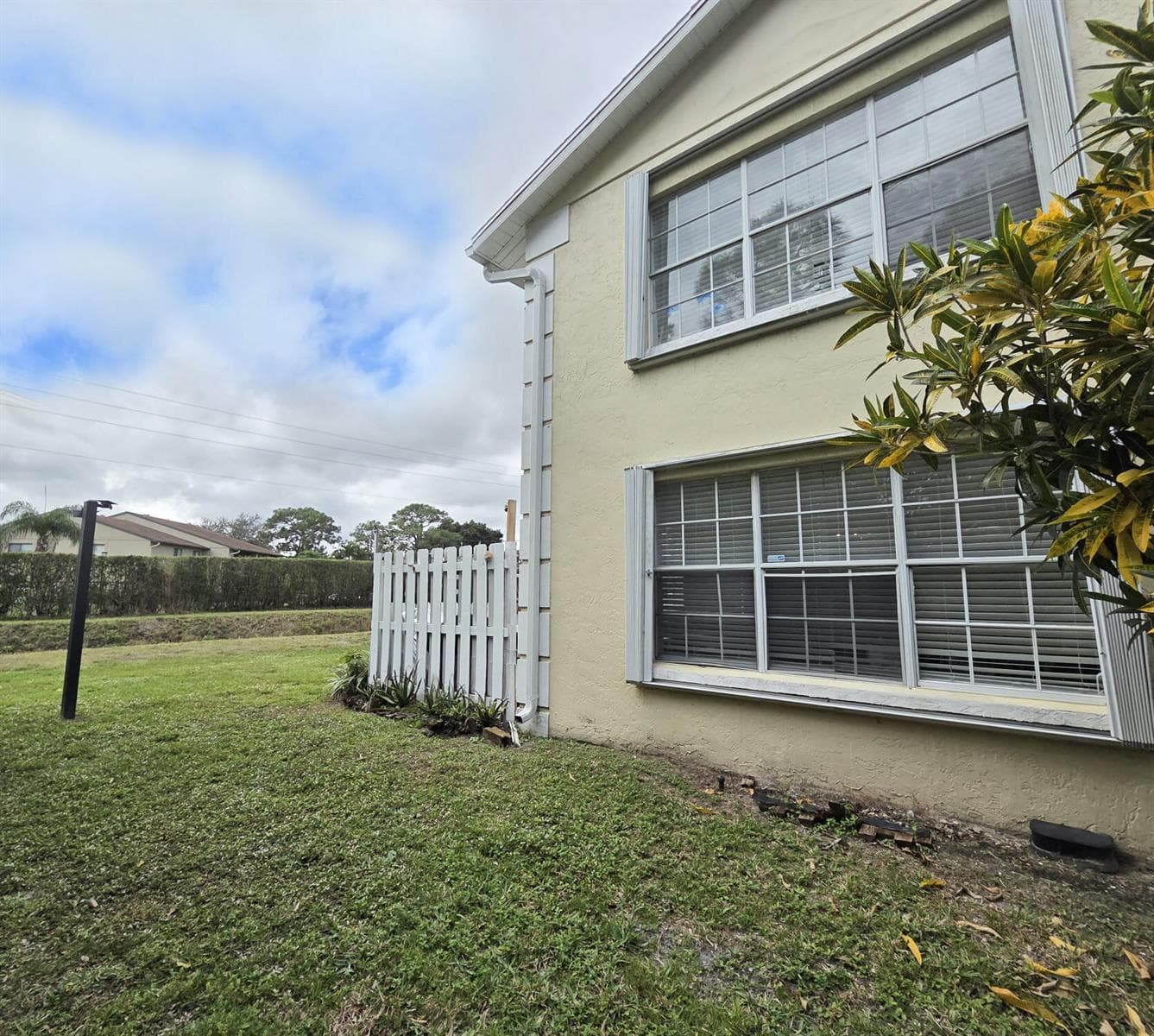 222 Foxtail Drive I photo 3