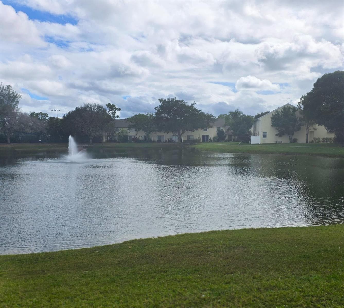 222 Foxtail Drive I photo 15
