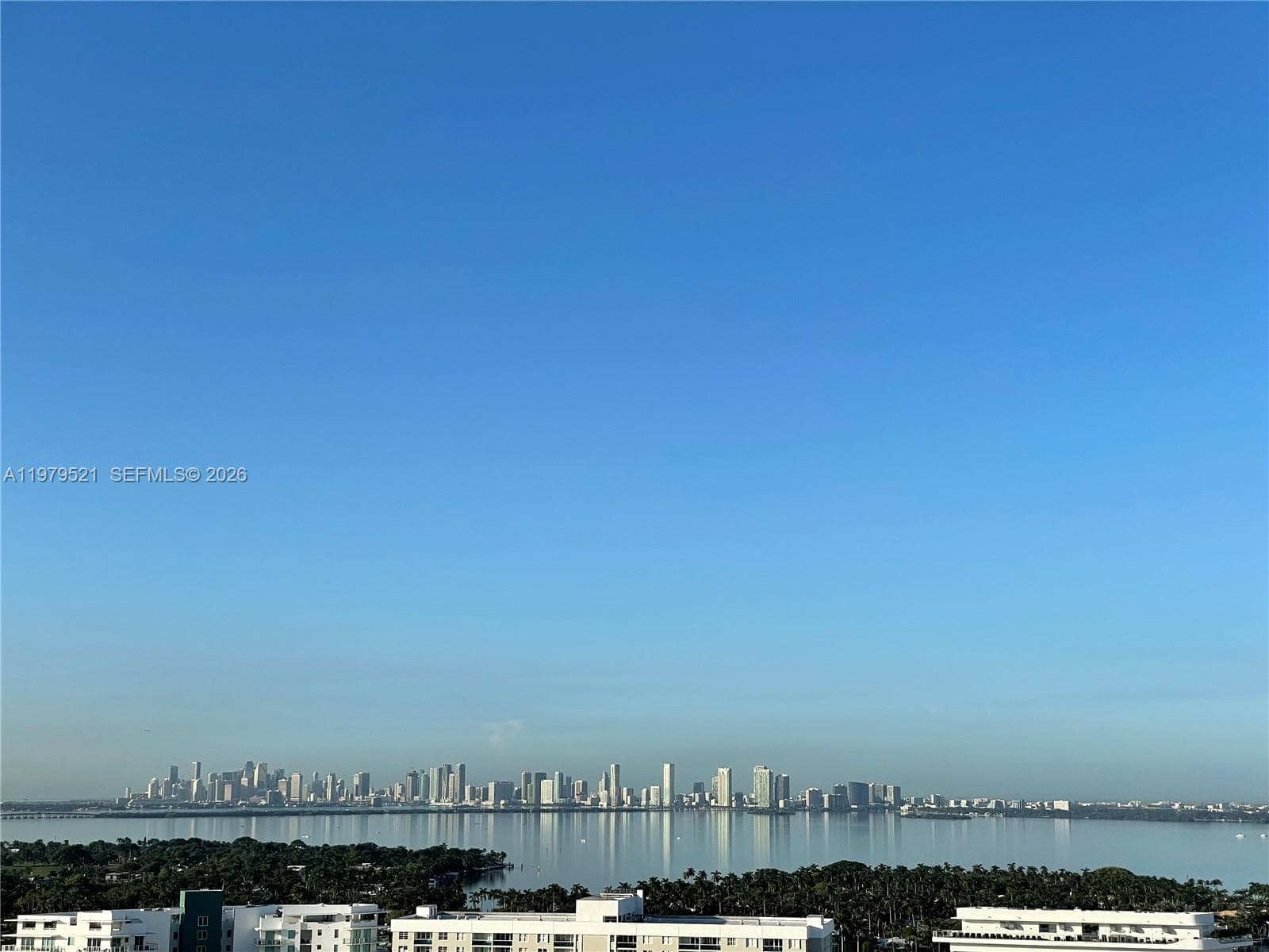 6899 Collins Ave 2403 photo 25