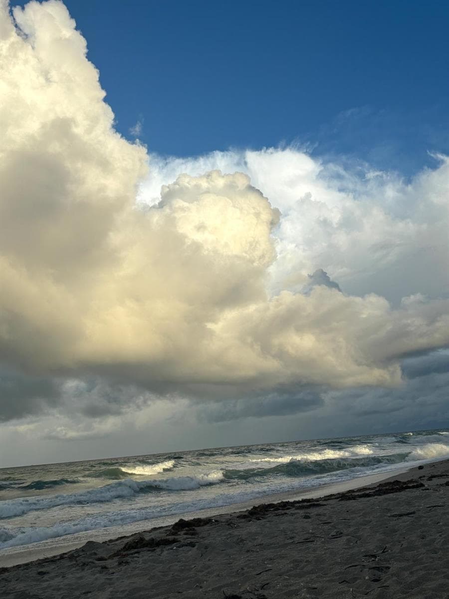 9900 S Ocean Drive 1 photo 20