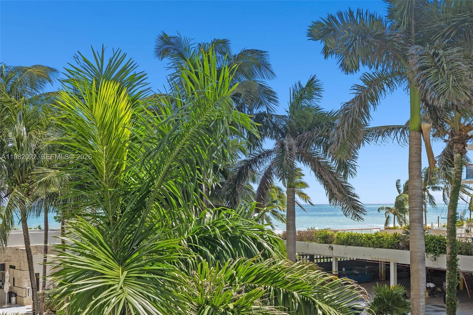 6799 Collins Ave 209 photo 4