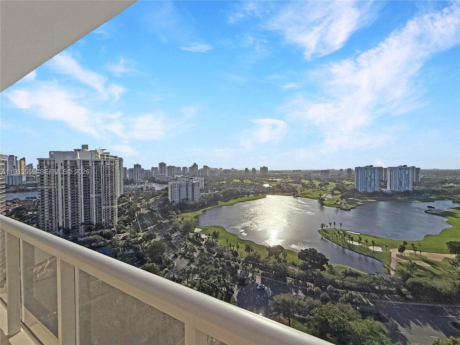 20281 E Country Club Dr 2409 photo 10
