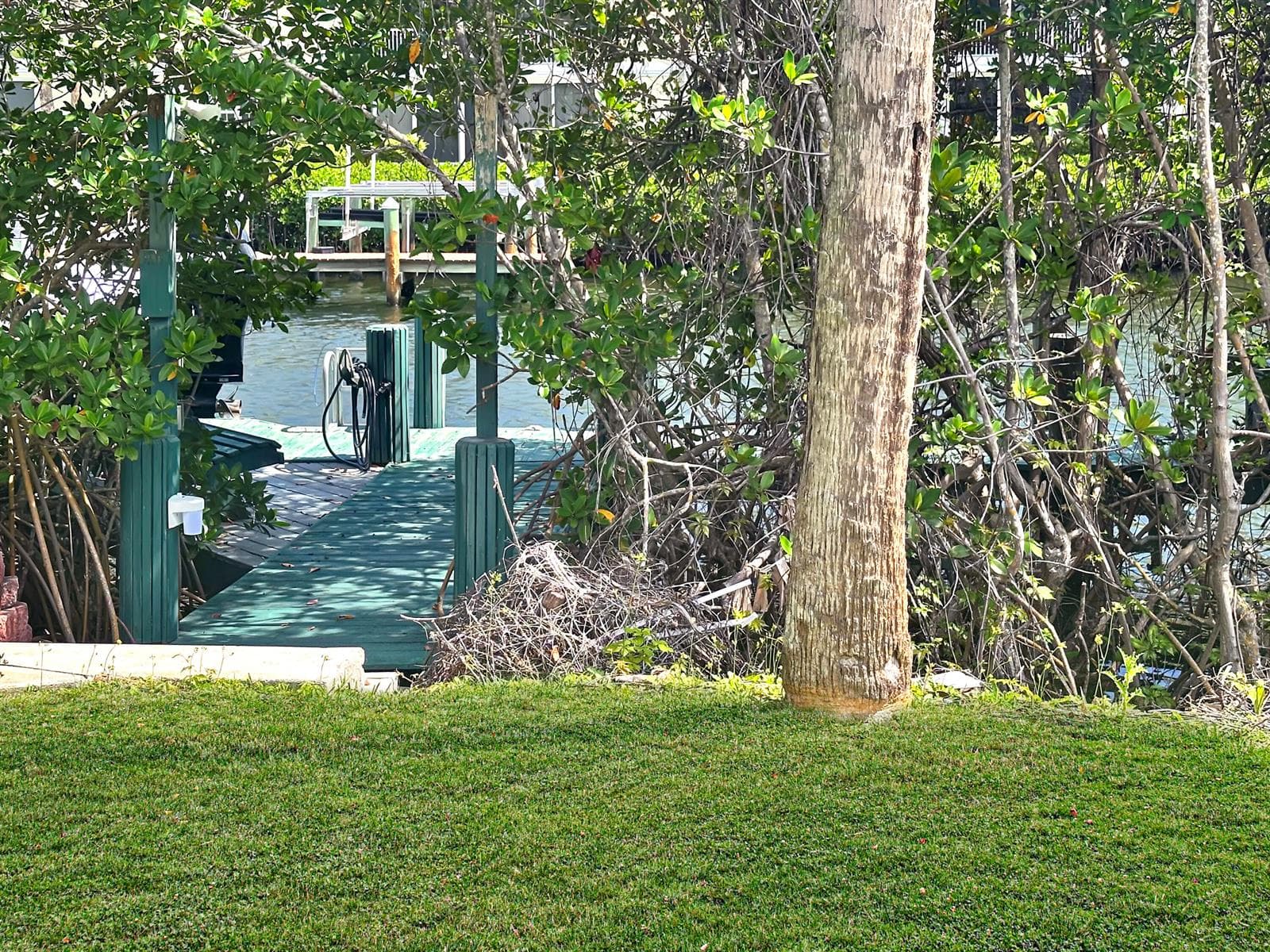 1860 Cobia Drive photo 3