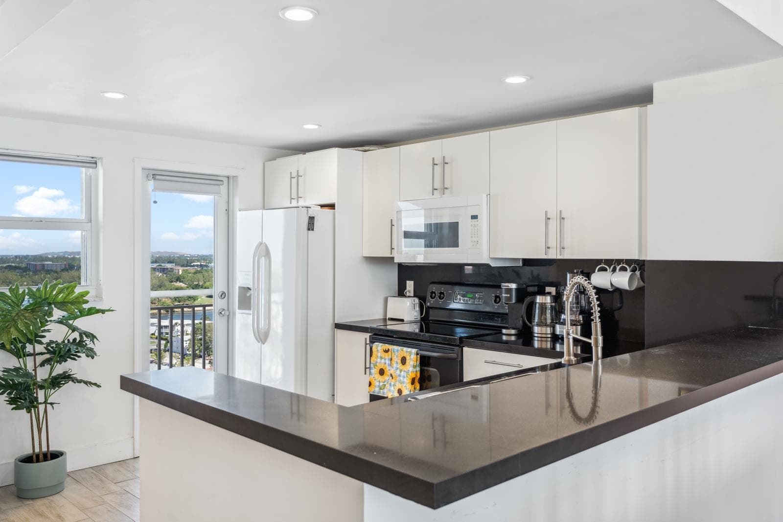 750 N Ocean Boulevard 1507 photo 4