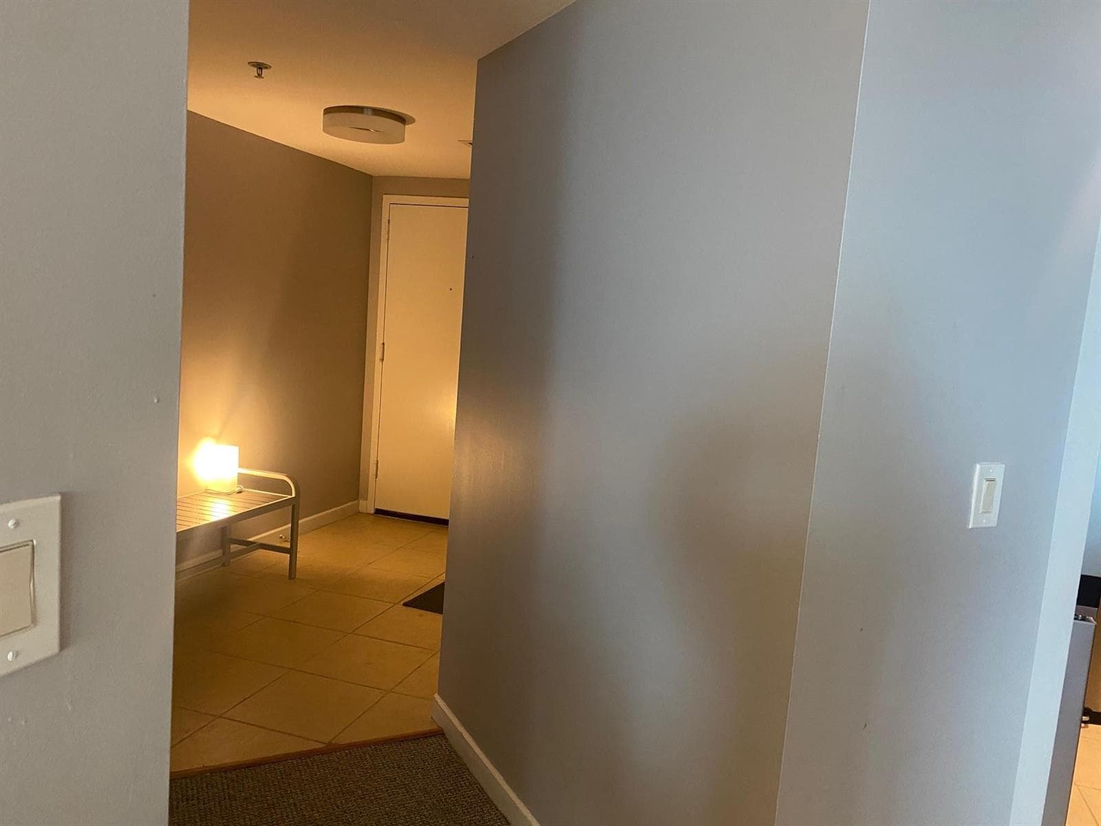 325 S Biscayne Boulevard 2926 photo 12