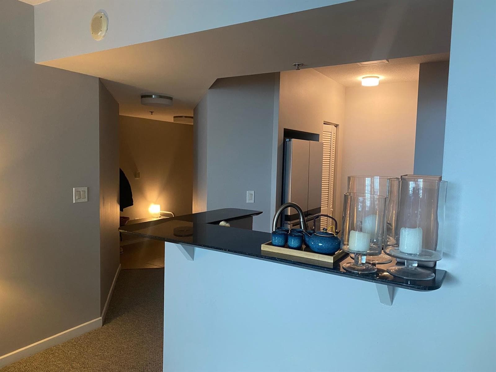 325 S Biscayne Boulevard 2926 photo 11