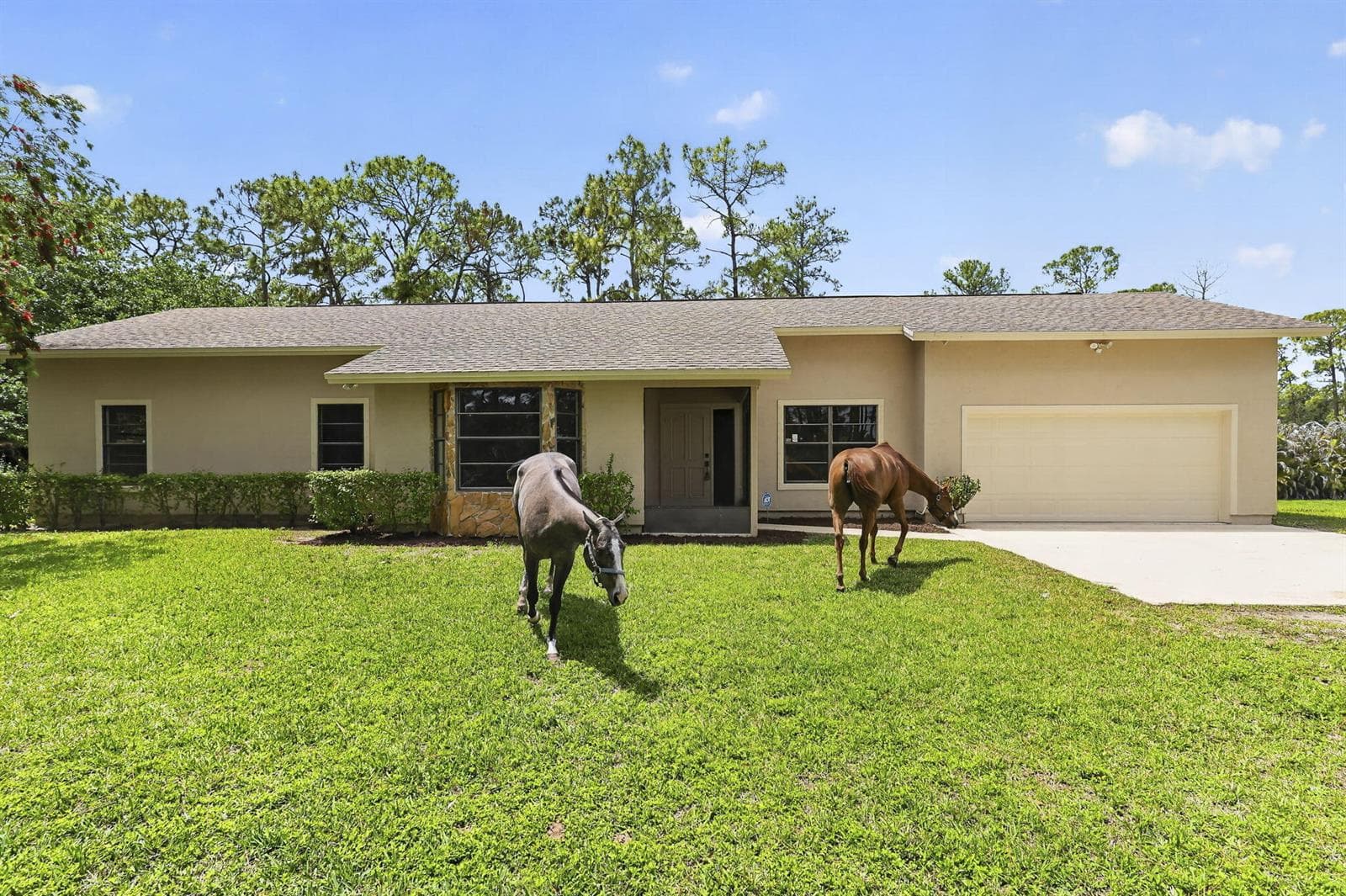 6045 Hall Boulevard photo 7