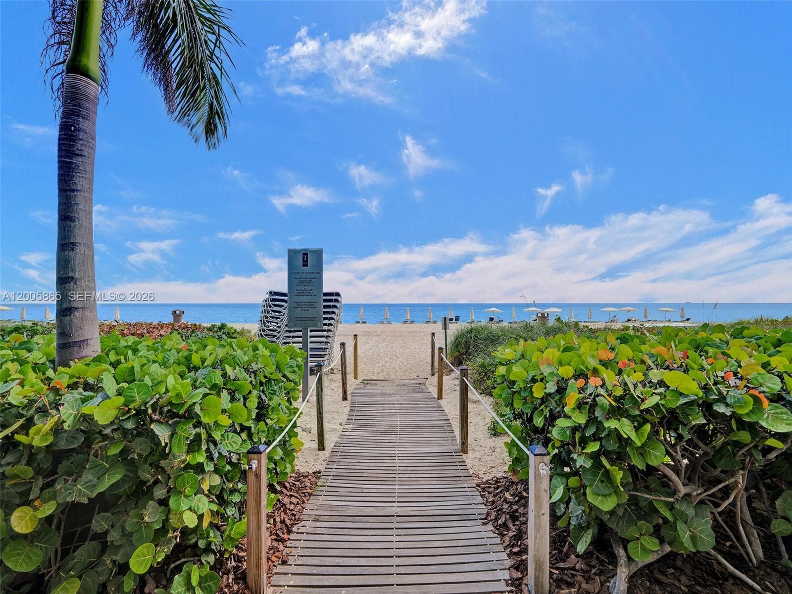 15901 Collins Ave 2807 photo 3