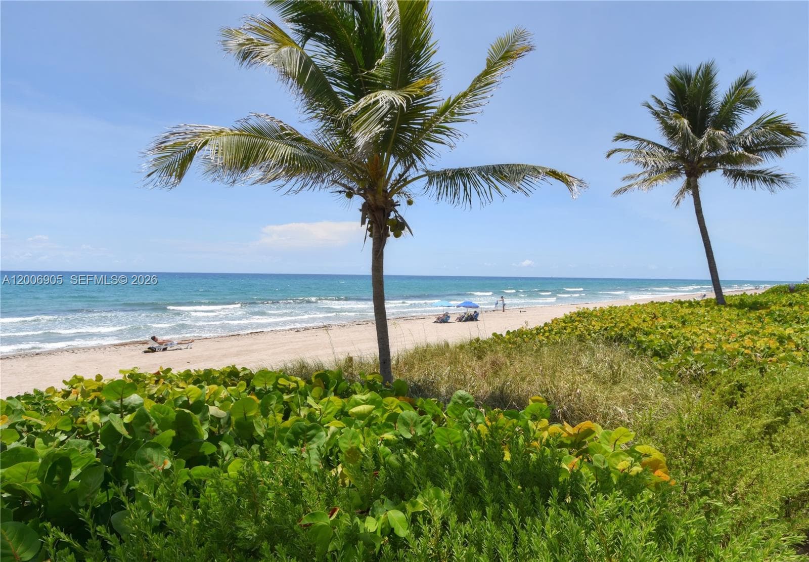 3101 S Ocean Blvd 118 photo 1