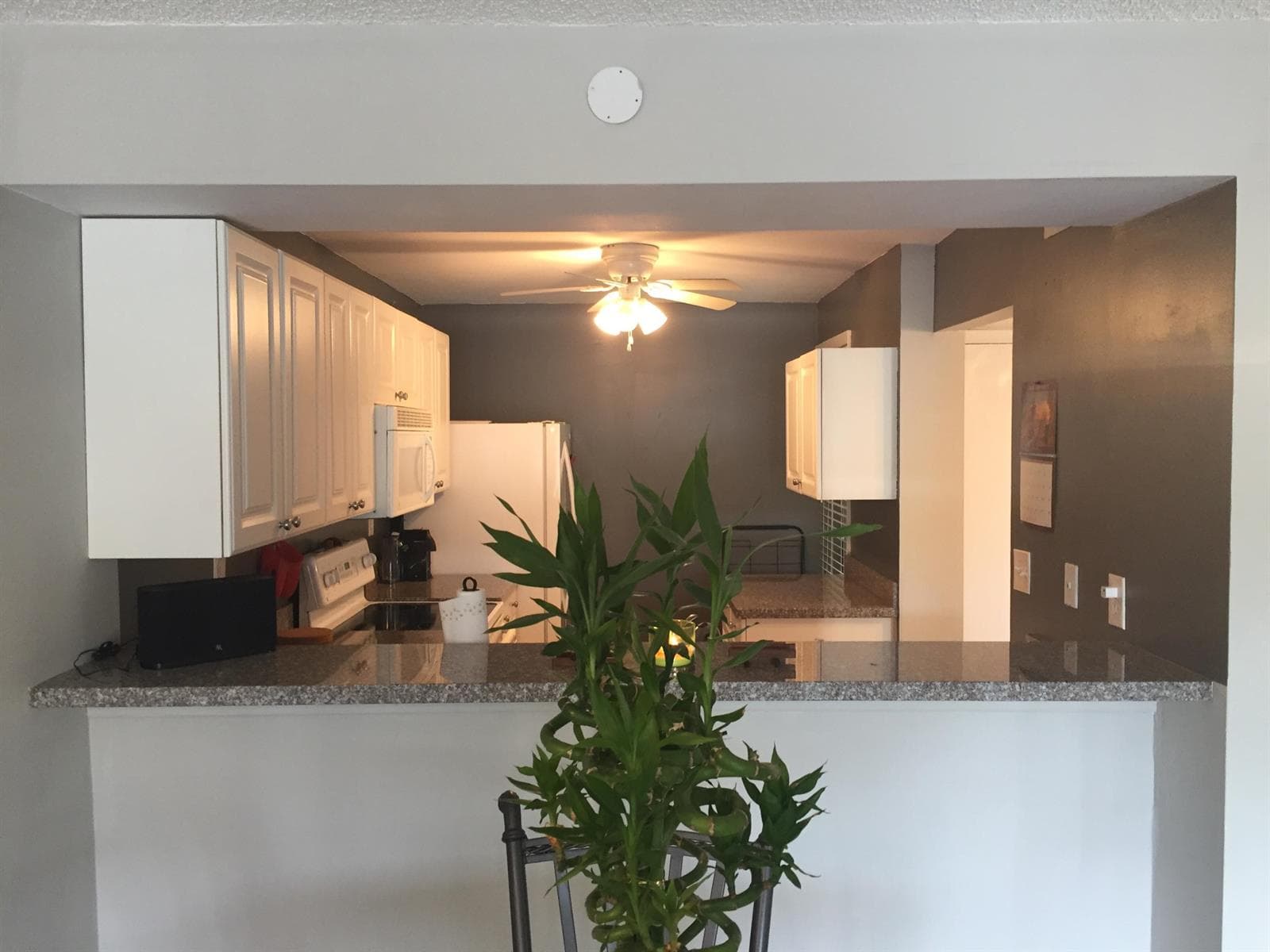 10 Royal Palm Way 2030 photo 2