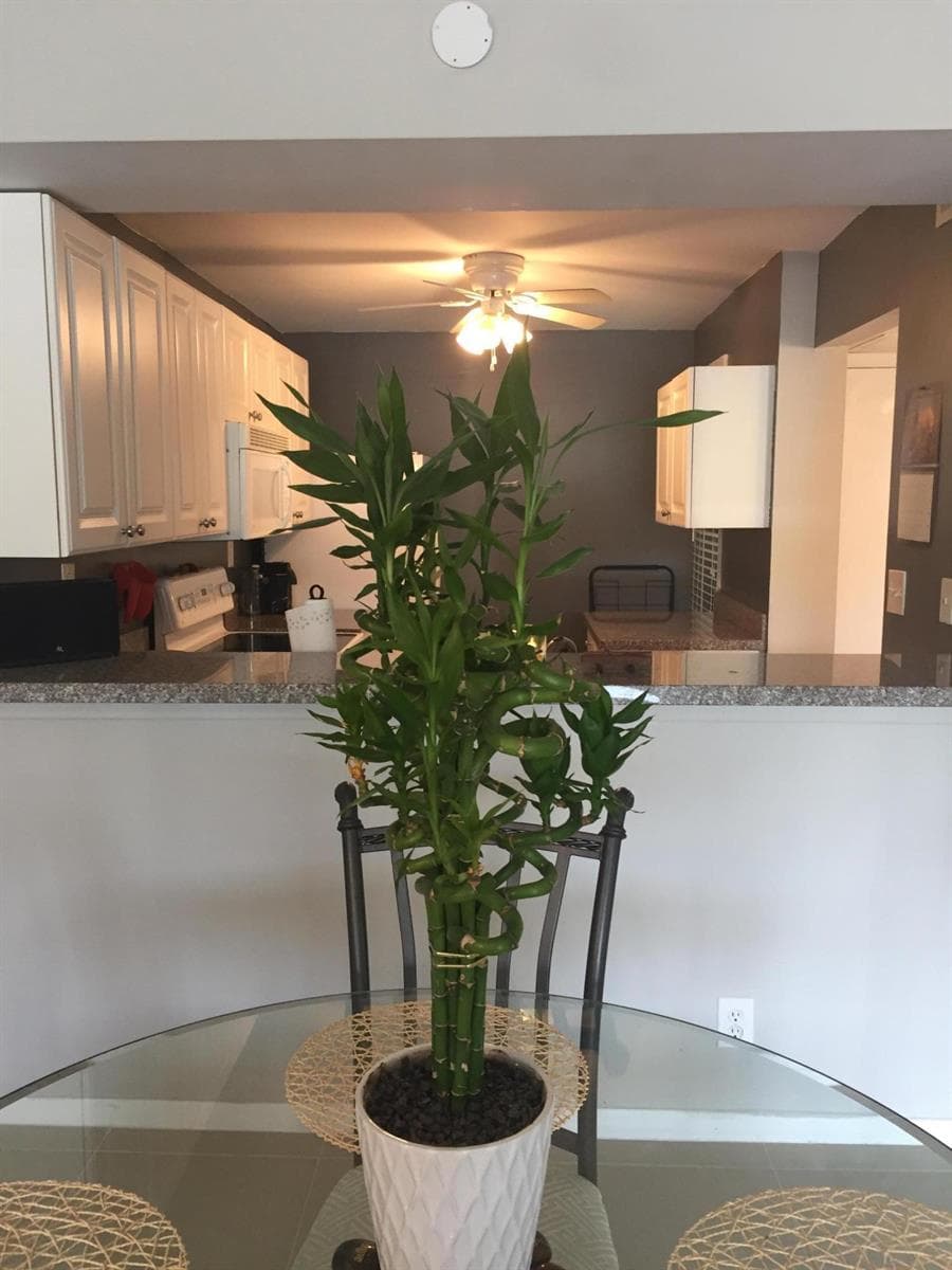 10 Royal Palm Way 2030 photo 4