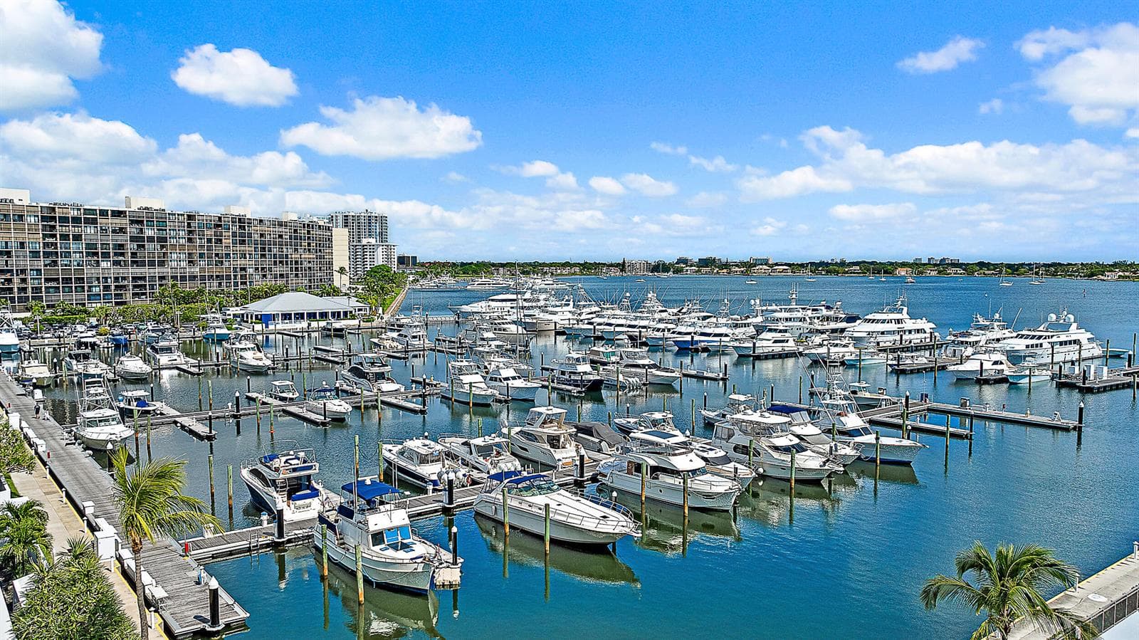 100 Lakeshore Drive 354 photo 6