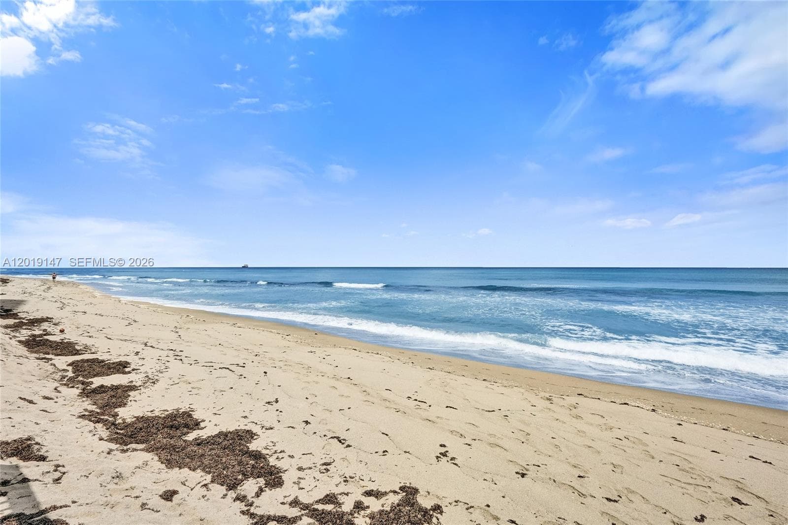 5420 N Ocean Dr 2201 photo 15