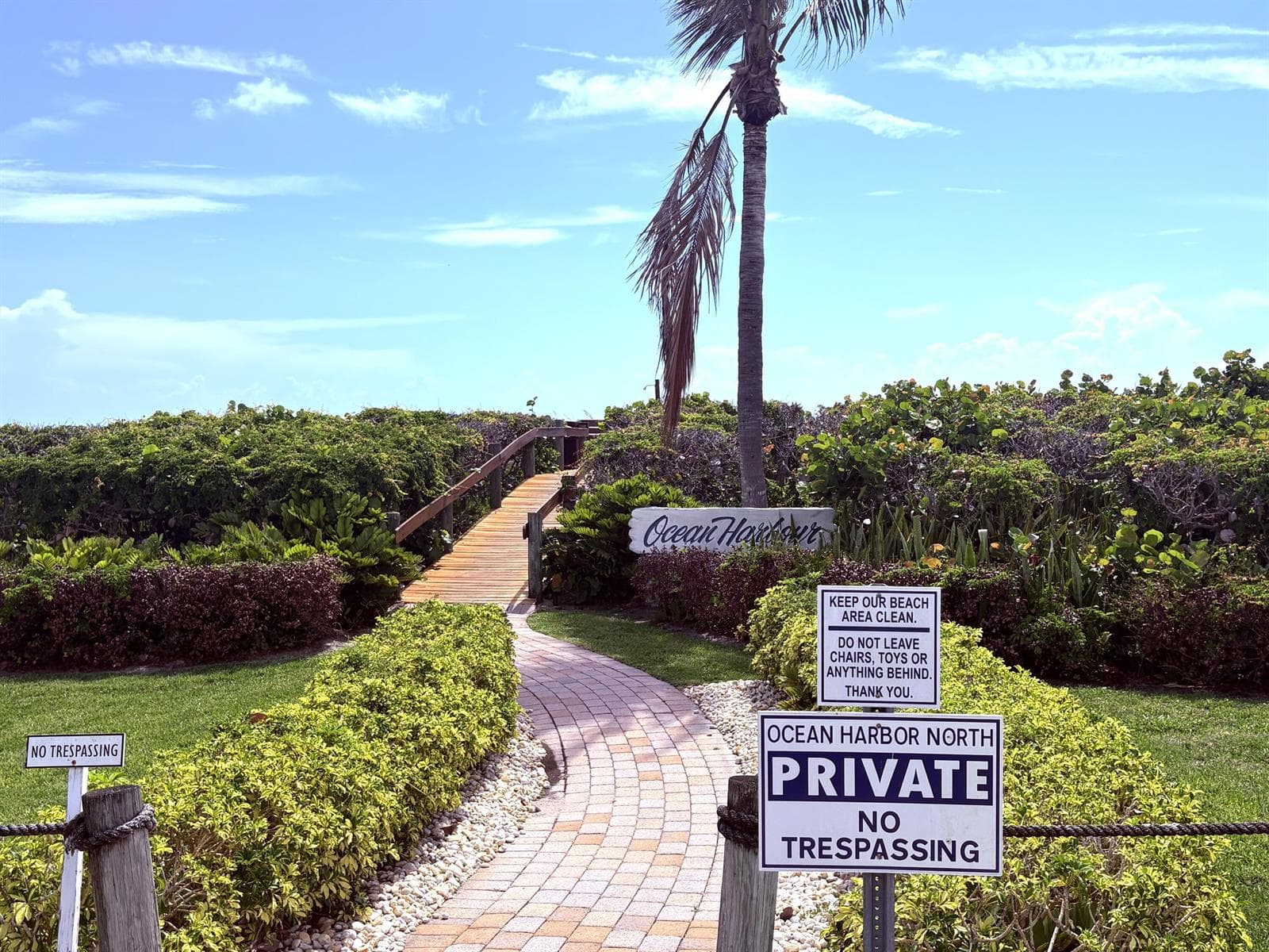 5151 N Highway A1a 513 photo 15