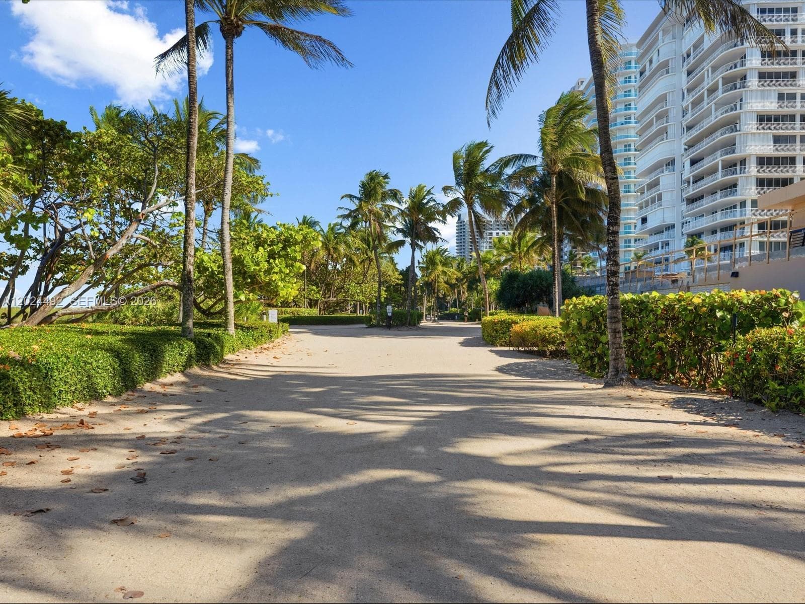 10185 Collins Ave 703 photo 24