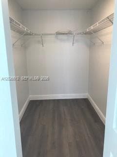 2655 Collins Ave 2308 photo 13