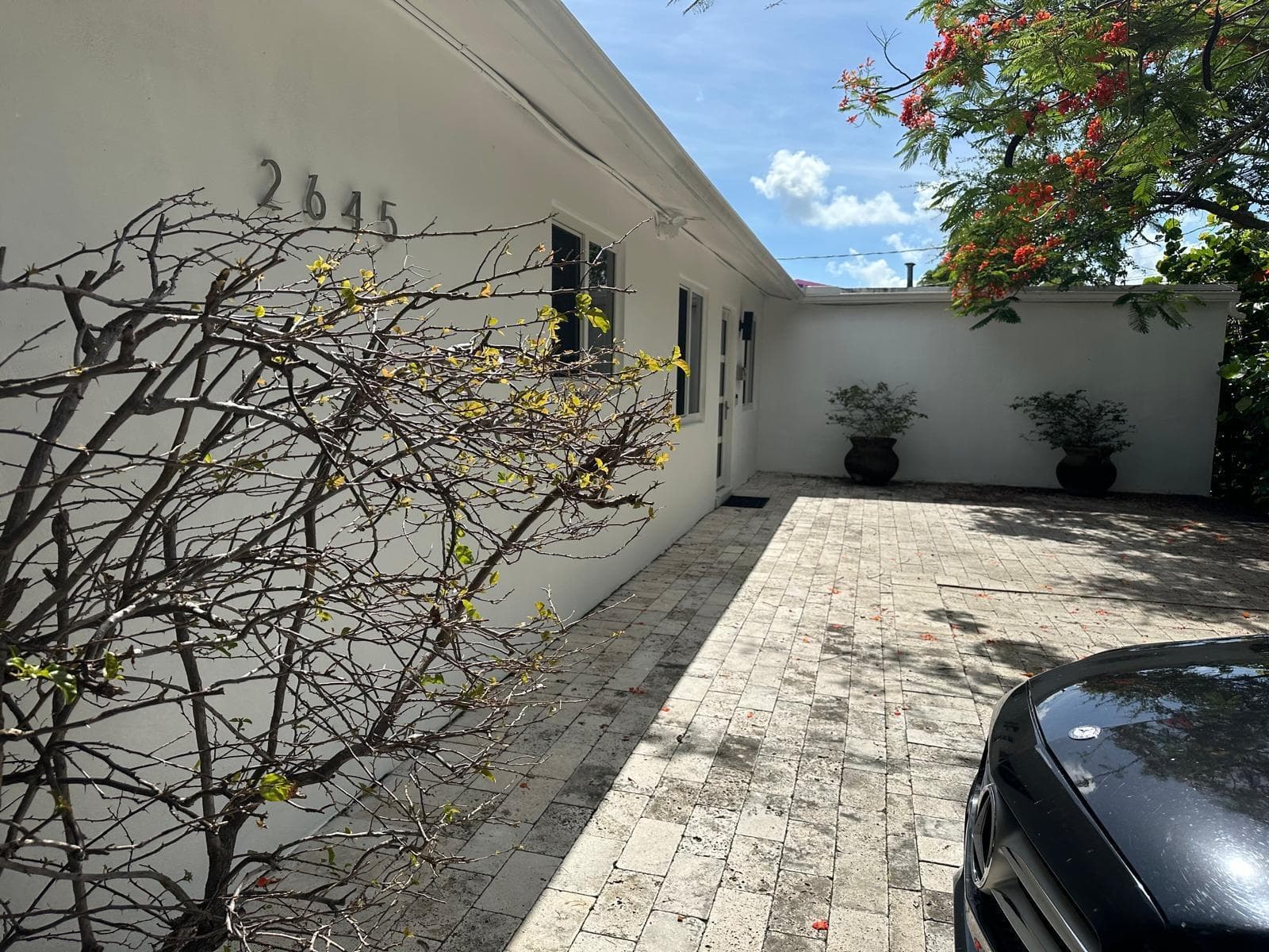 2645 Scott Street photo 2