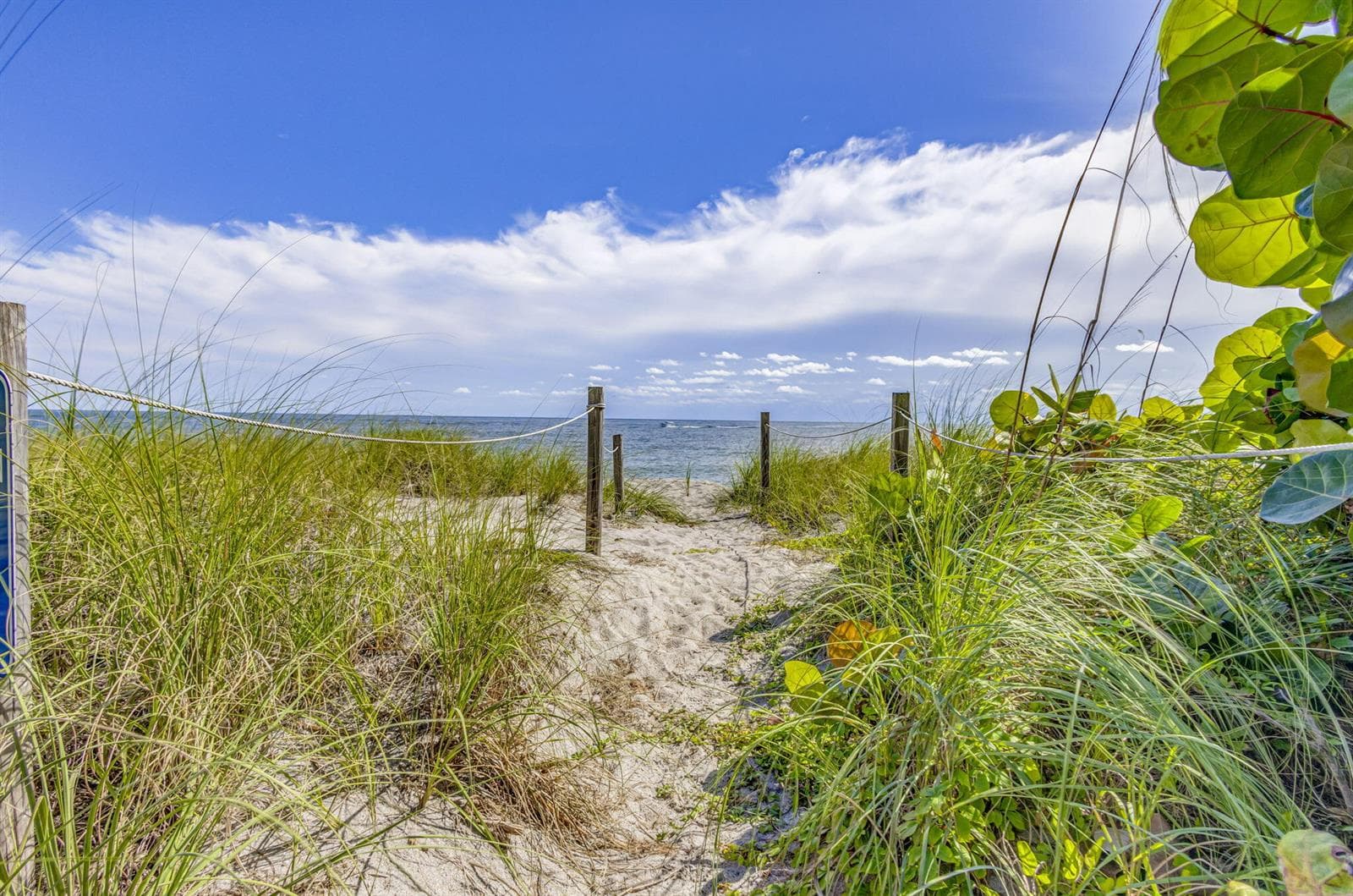 400 Ocean Trail Way 807 photo 21