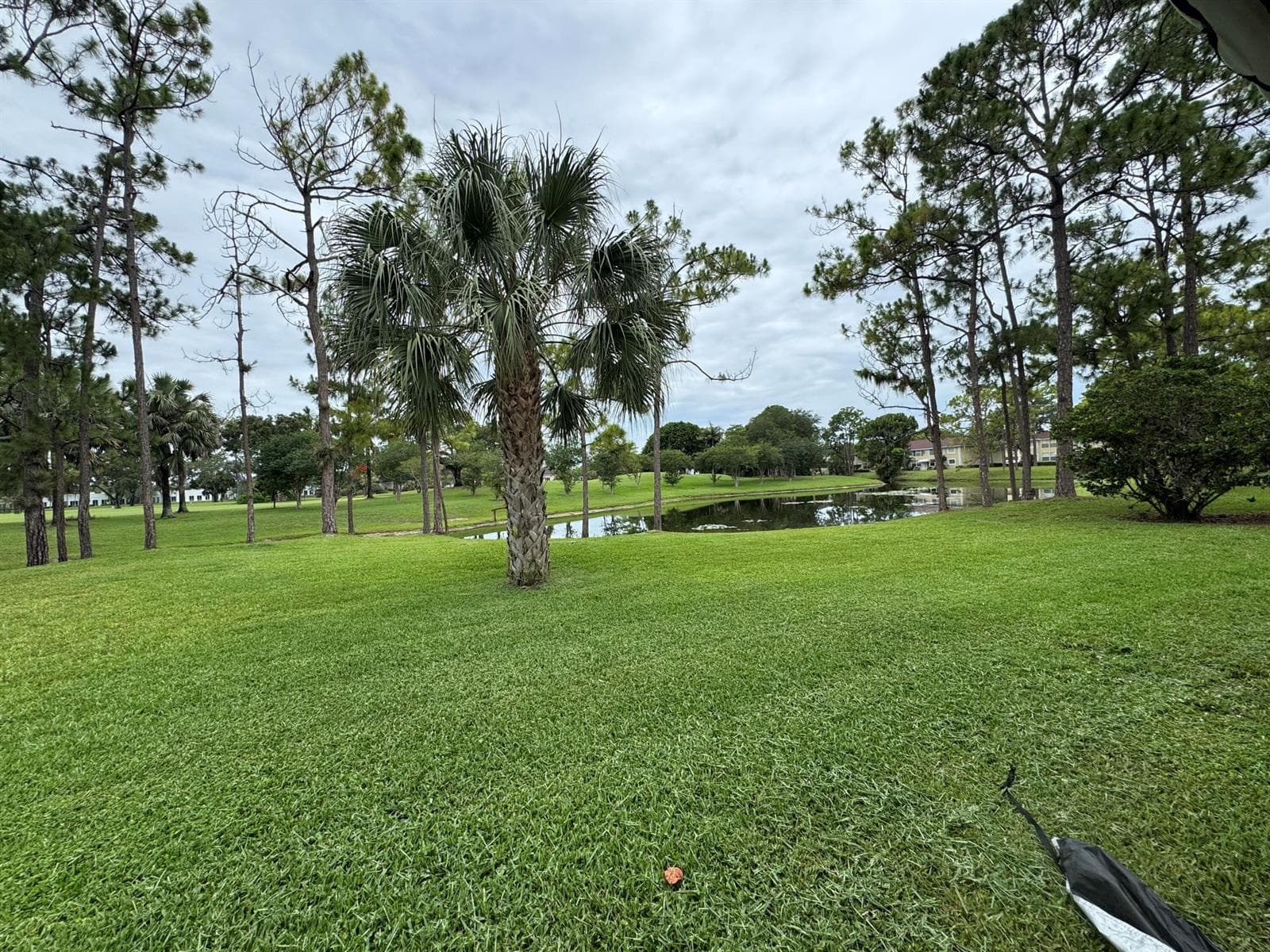 1803 Palm Beach Trace Drive photo 2
