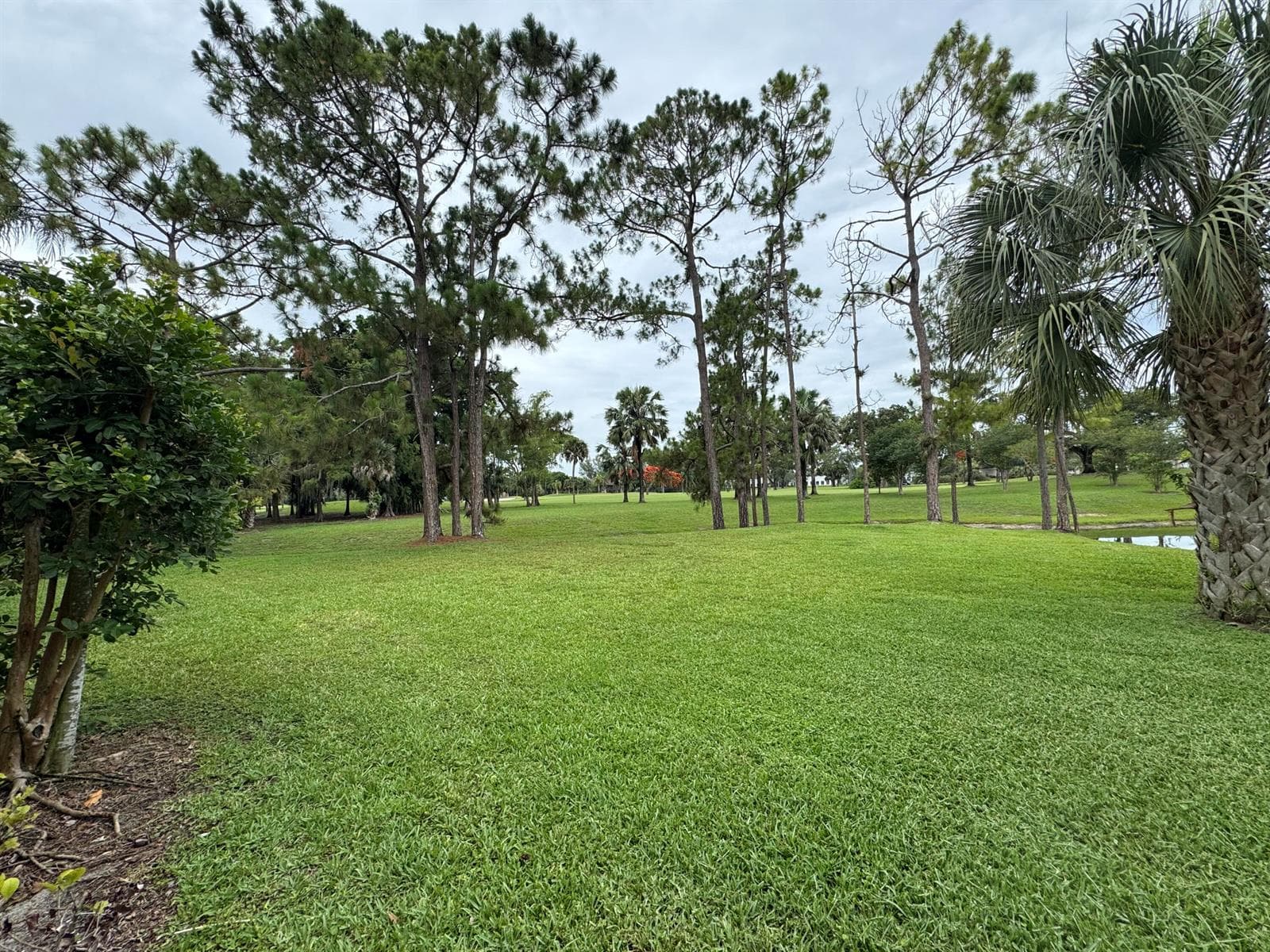 1803 Palm Beach Trace Drive photo 8