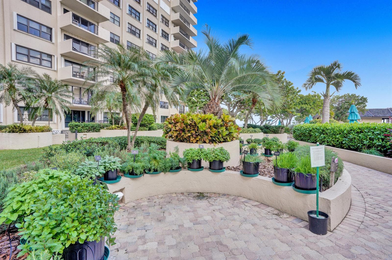 5100 N Ocean Boulevard 517 photo 24