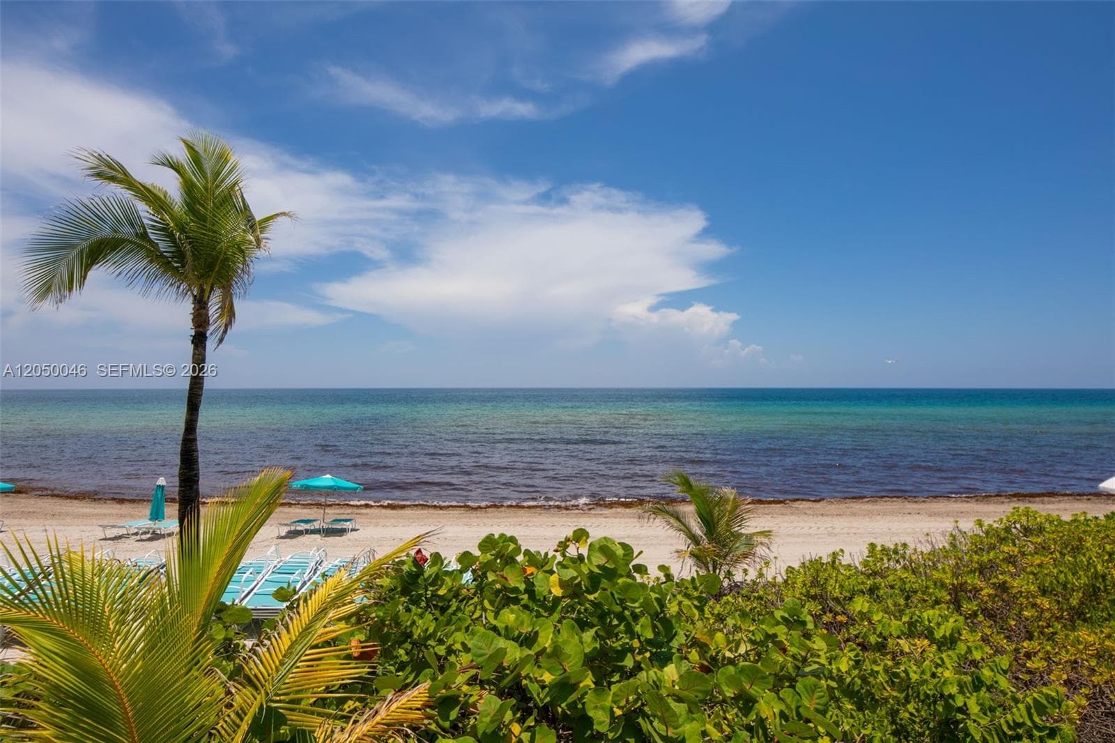 2501 S Ocean Dr 828 photo 16