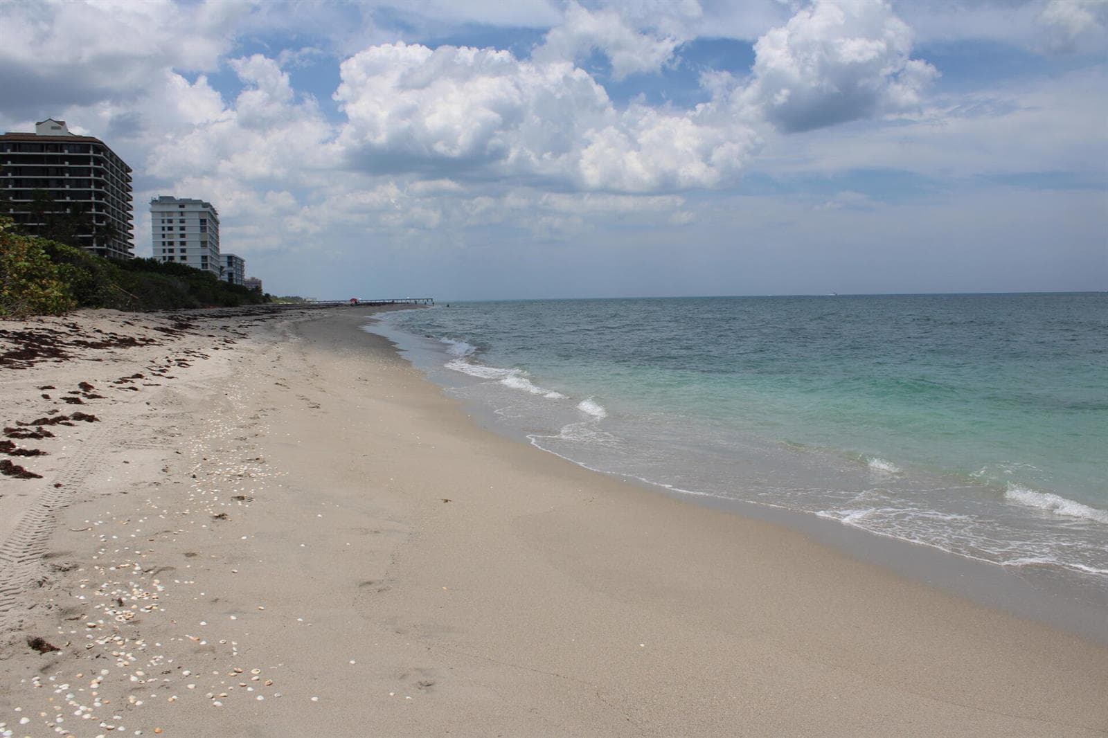 630 OCEAN Drive 215 photo 16