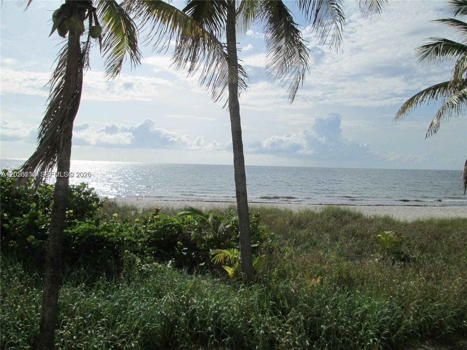 1370 S Ocean Blvd 1207 photo 13