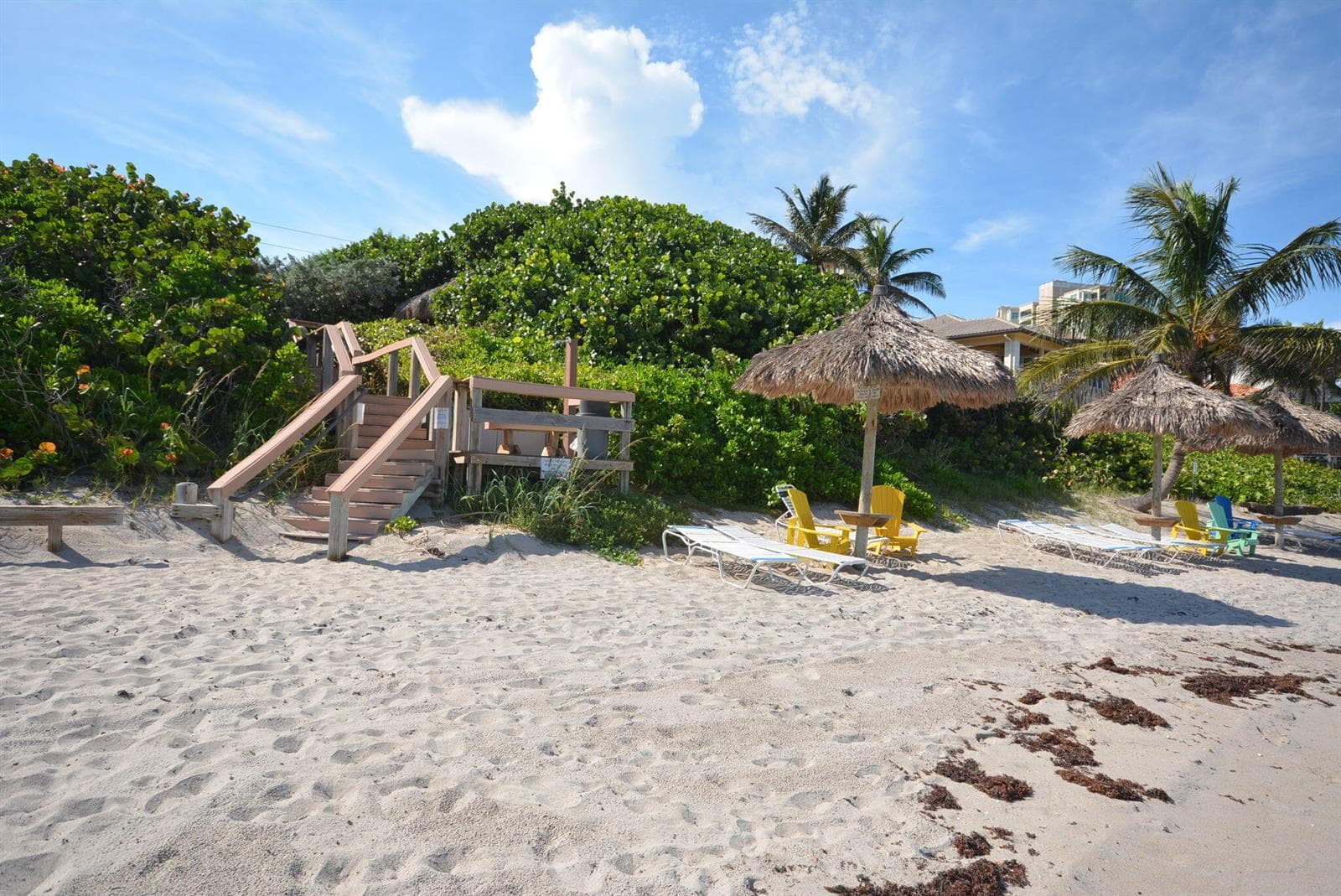 3912 S Ocean Boulevard 501 photo 16