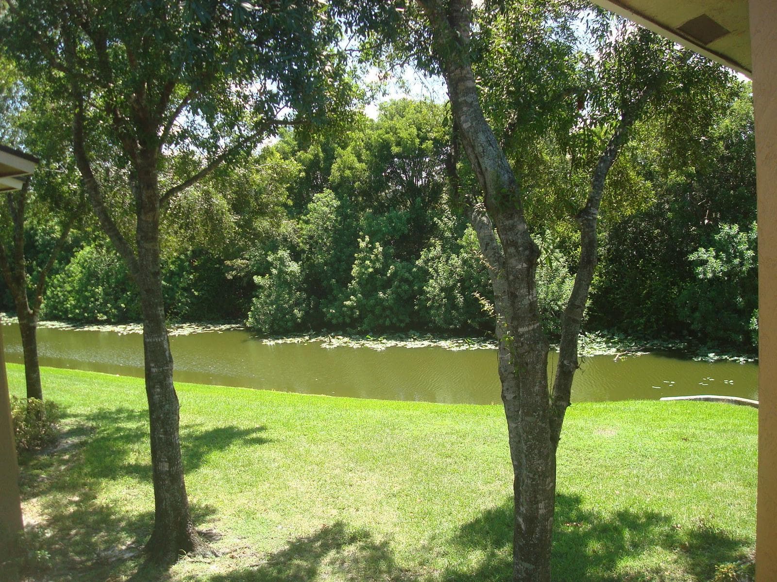 1141 LAKE VICTORIA Drive H photo 5