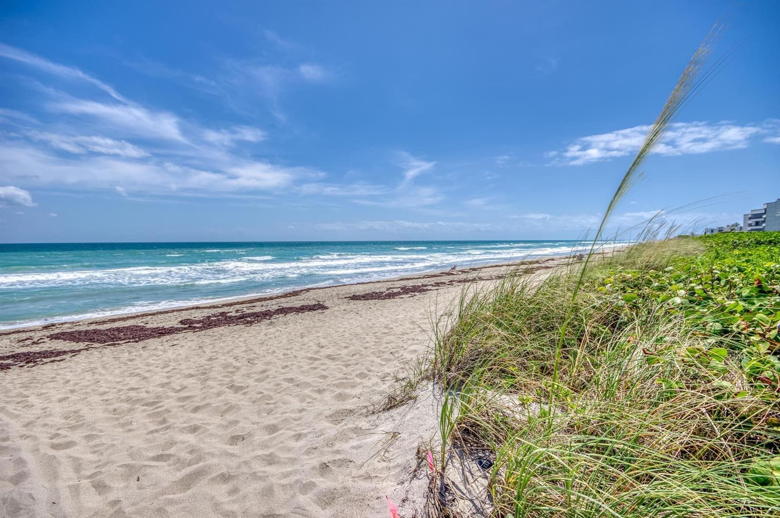 1501 NE Ocean Boulevard 8 photo 2