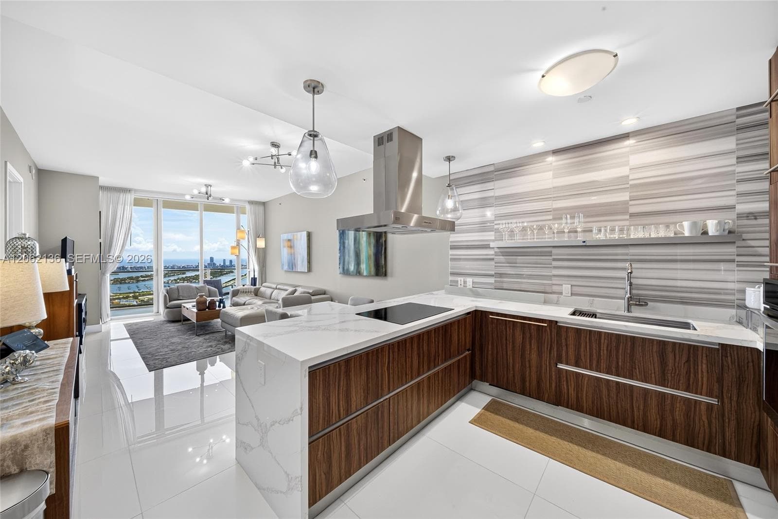1100 Biscayne Blvd 5502 photo 12