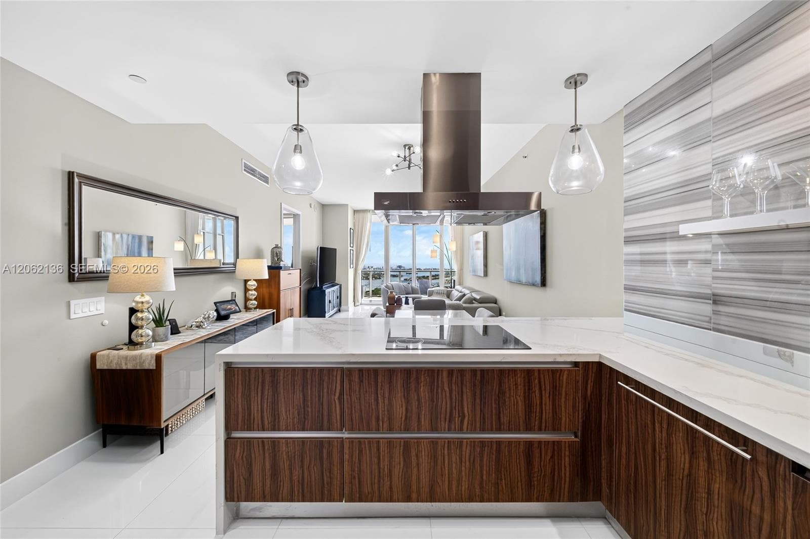 1100 Biscayne Blvd 5502 photo 18
