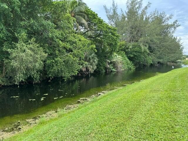248 Lake Dora Drive photo 7