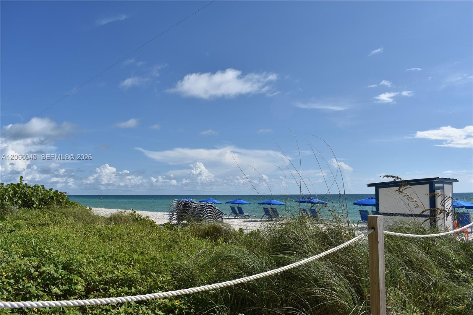 6365 Collins Ave 3804 photo 16