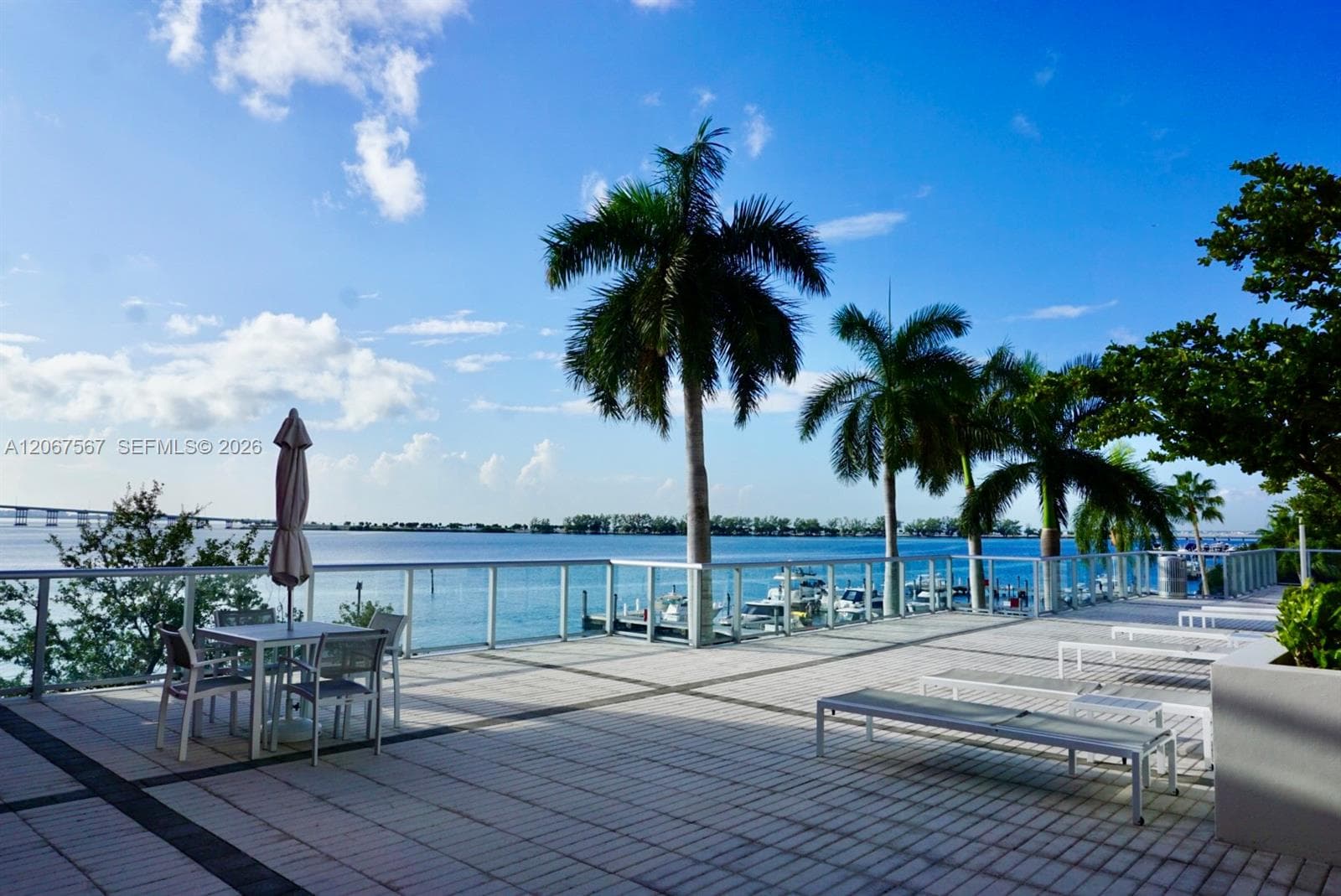 1541 Brickell Ave A3302 photo 3