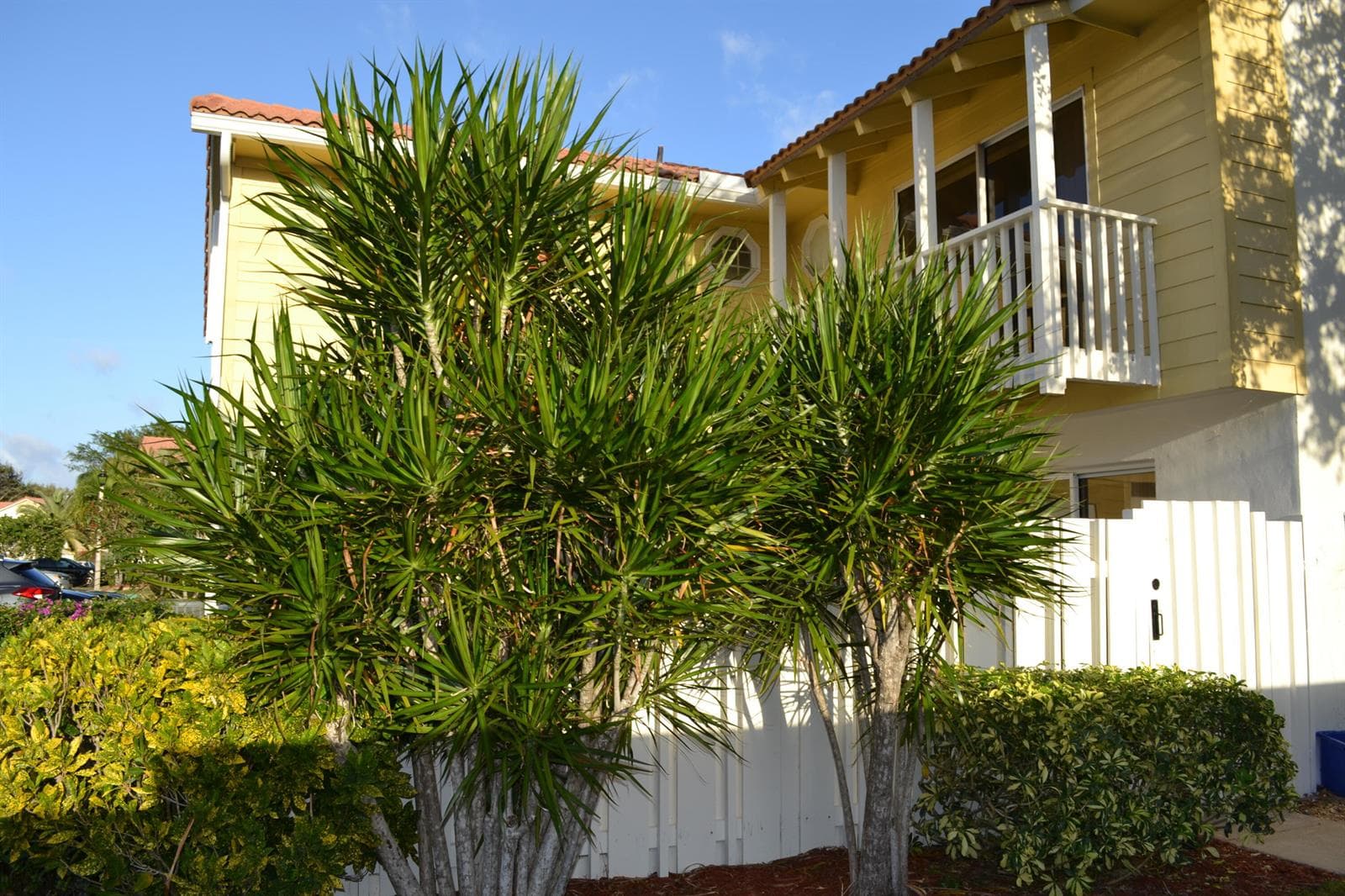 176 Seabreeze Circle photo 3